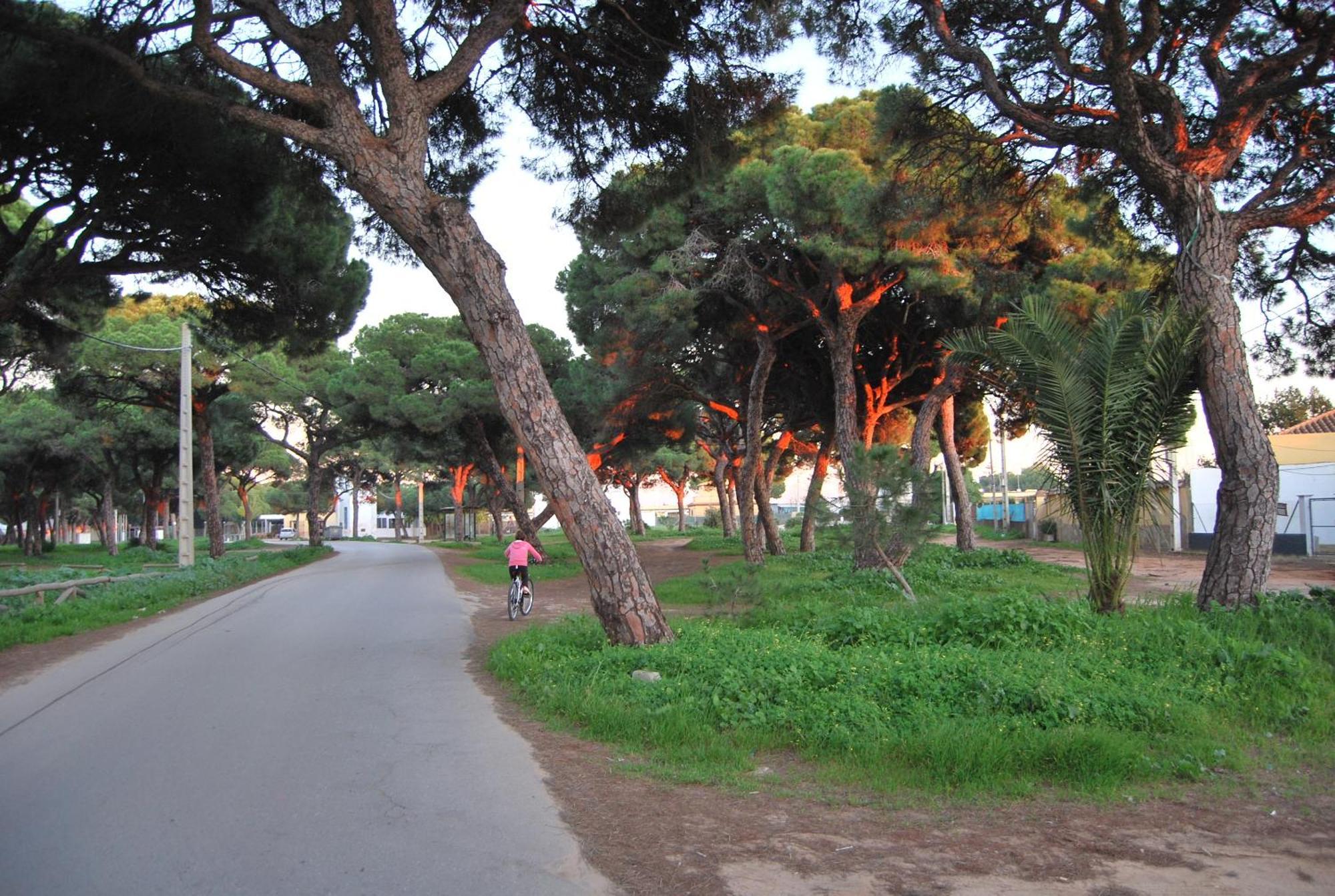 Tranvia Beach House Chipiona Exterior photo
